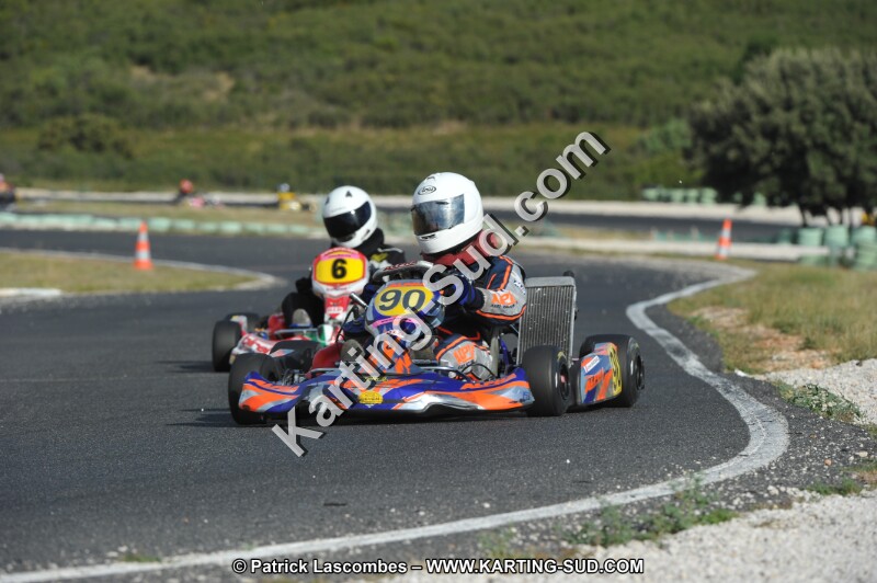 DSC (4003).JPG
